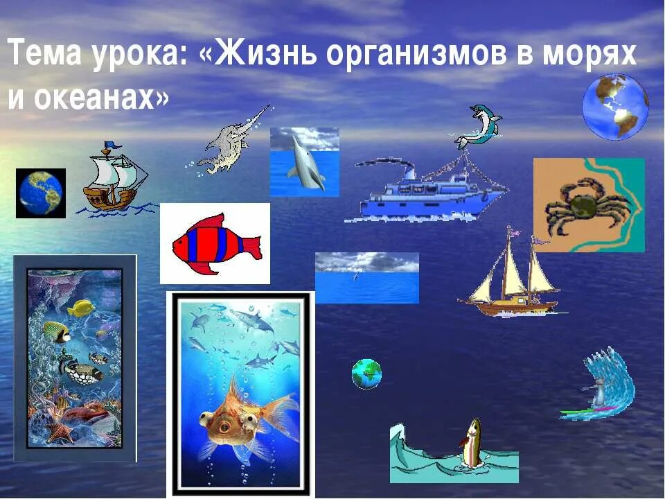 Жизнь в морях и океанах 5 класс. Жизнь организмов в морях. Организмы в морях и океанах. Жизнь организмов в морях и океанах 5 класс.