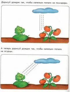 Задачи развития 3 4 года