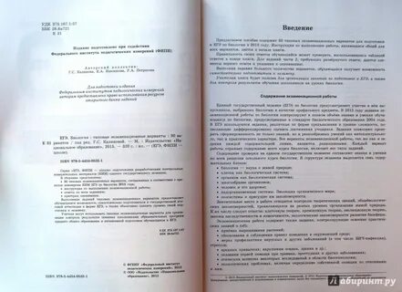 Вариант 9 рохлова