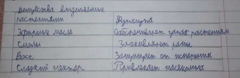 Сладкий нектар падеж