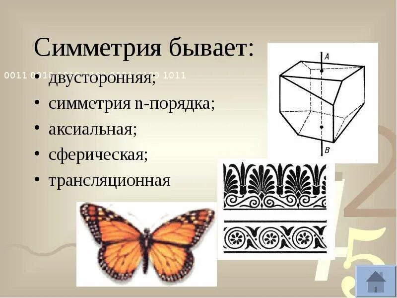 Симметрия виды. Виды симметрии. двусторонняя симметрия. основные типы симметрии. три основных вида симметрии.