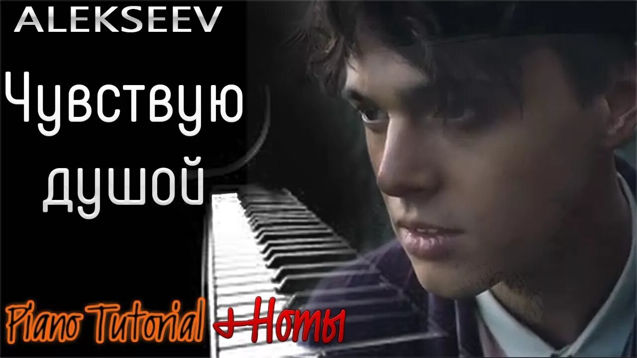 Чувства души слушать. Alekseev чувствую душой. А мы летим вместе с птицами. Чувства души слушать. Чувства души слушать.
