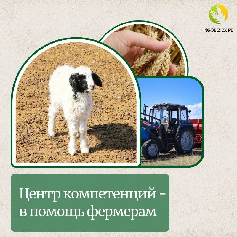 Посети каждую планету и помоги фермерам. Здоровье в твоих руках. Мир в руке. Экология нашей планеты. Земля в руках.