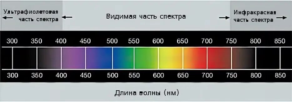 Видимый участок спектра. Длина волны цвета. Цветовая шкала спектр света. Ультрафиолетовая (УФ), видимая и инфракрасная (ИК) области спектра. Длины волн цветов.