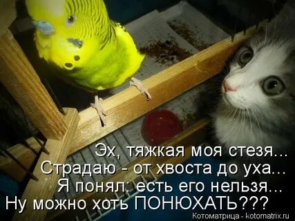 А можно хоть