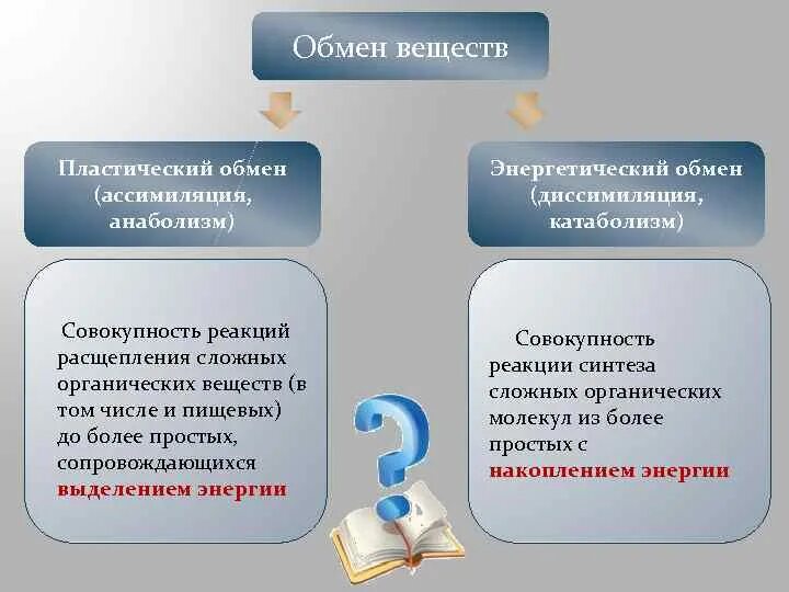 Ассимиляция и диссимиляция метаболизм. Диссимиляция в обмене веществ это. Процессы обмена веществ ассимиляция и диссимиляция. Обмен веществ и энергии ассимиляция и диссимиляция. Диссимиляция в биологии