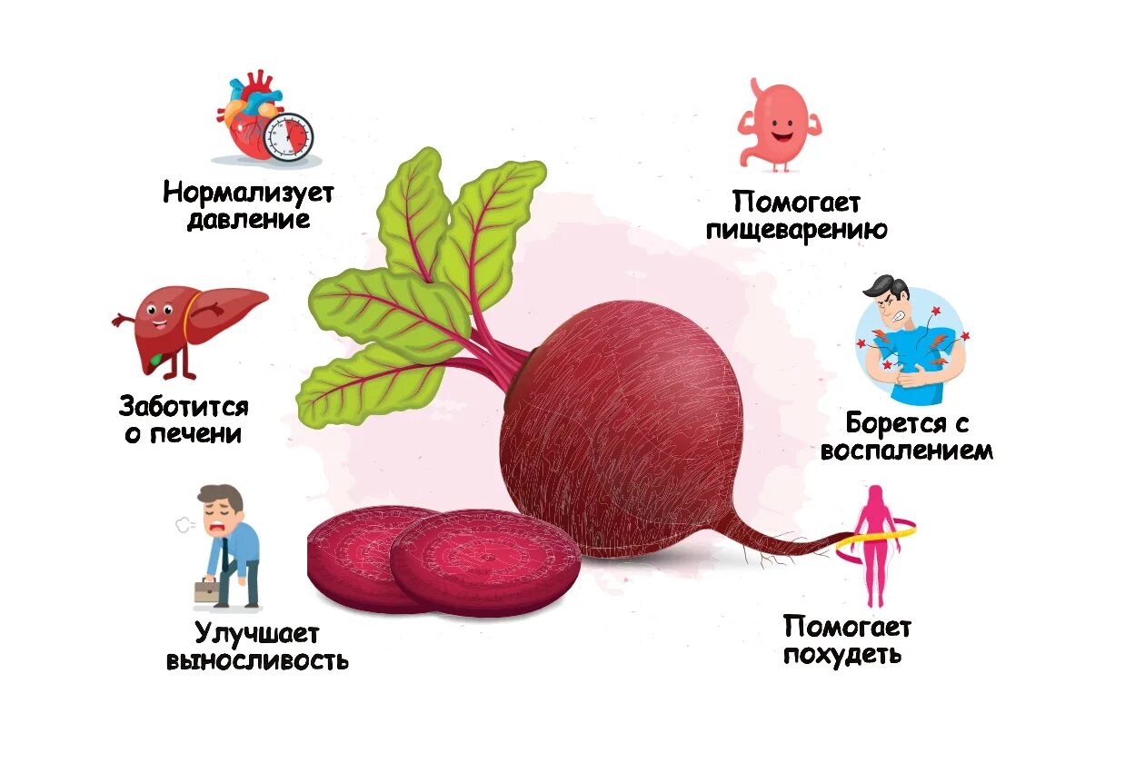 Чем полезна свекла для организма. Чем полезна свекла. Свекла полезная для организма. Полезные витамины в свекле.