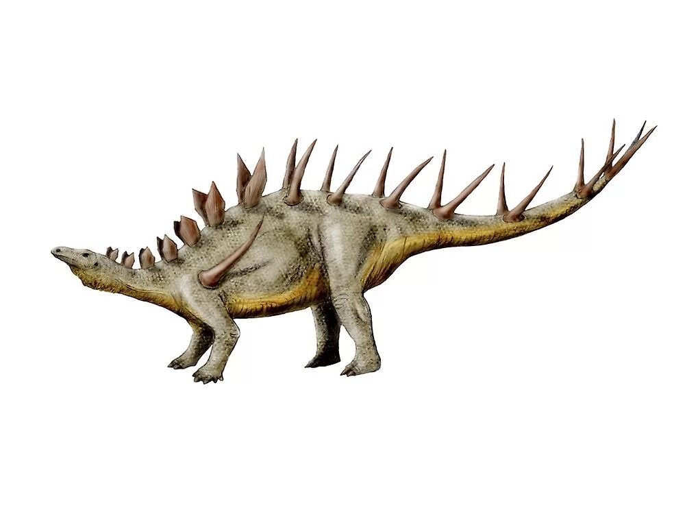 Kentrosaurus aethiopicus. Кентрозавр динозавр. Кентрозавр и Стегозавр. Цзянцзюнозавр. Травоядные динозавры с шипами