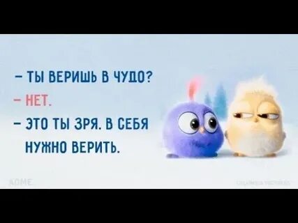 Зря ты мне не веришь