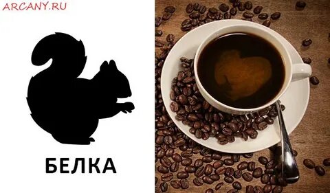 Гадание на белке