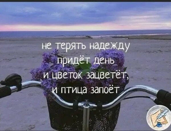 Надеюсь какое время. Не теряйте надежду. Не терять надежду. Не теряйте надежду цитаты. Надеяться на лучшее цитаты.