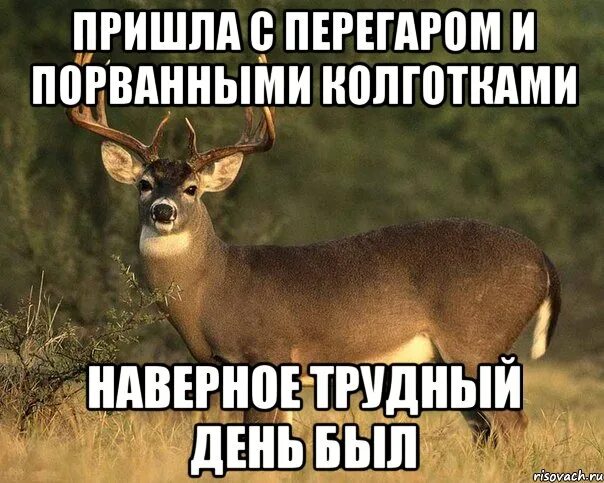 Почему пахнет перегаром