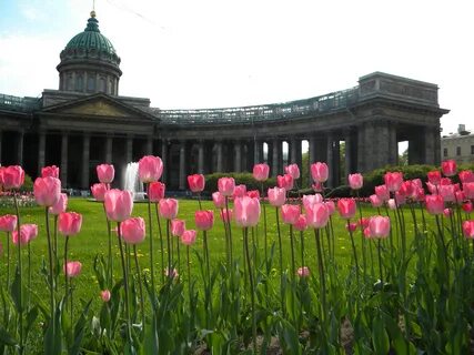 Тоне санкт петербург