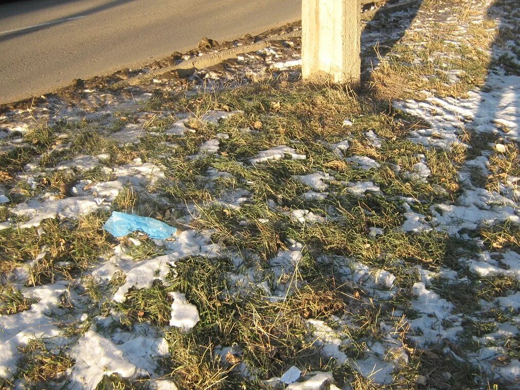 22 мая травы выросло. Аномально теплая зима. Аномальная зима. Аномальное потепление зимой фото. Декабрь в Калининграде трава зеленая.