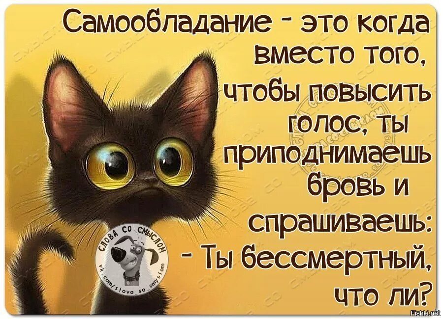 Статус в ватсап со смыслом прикольные картинки. Интересные статусы в картинках. веселые статусы в картинках. смешные статусы в картинках. классные картинки для статуса.