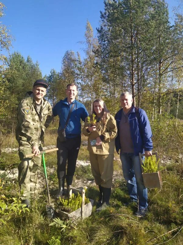 комитет по природным ресурсам ленинградской. комитет по природным ресурсам ленинградской. лес в ноябре. комитет по природным ресурсам ло председатель. председатель комитета по природным ресурсам ленинградской области.