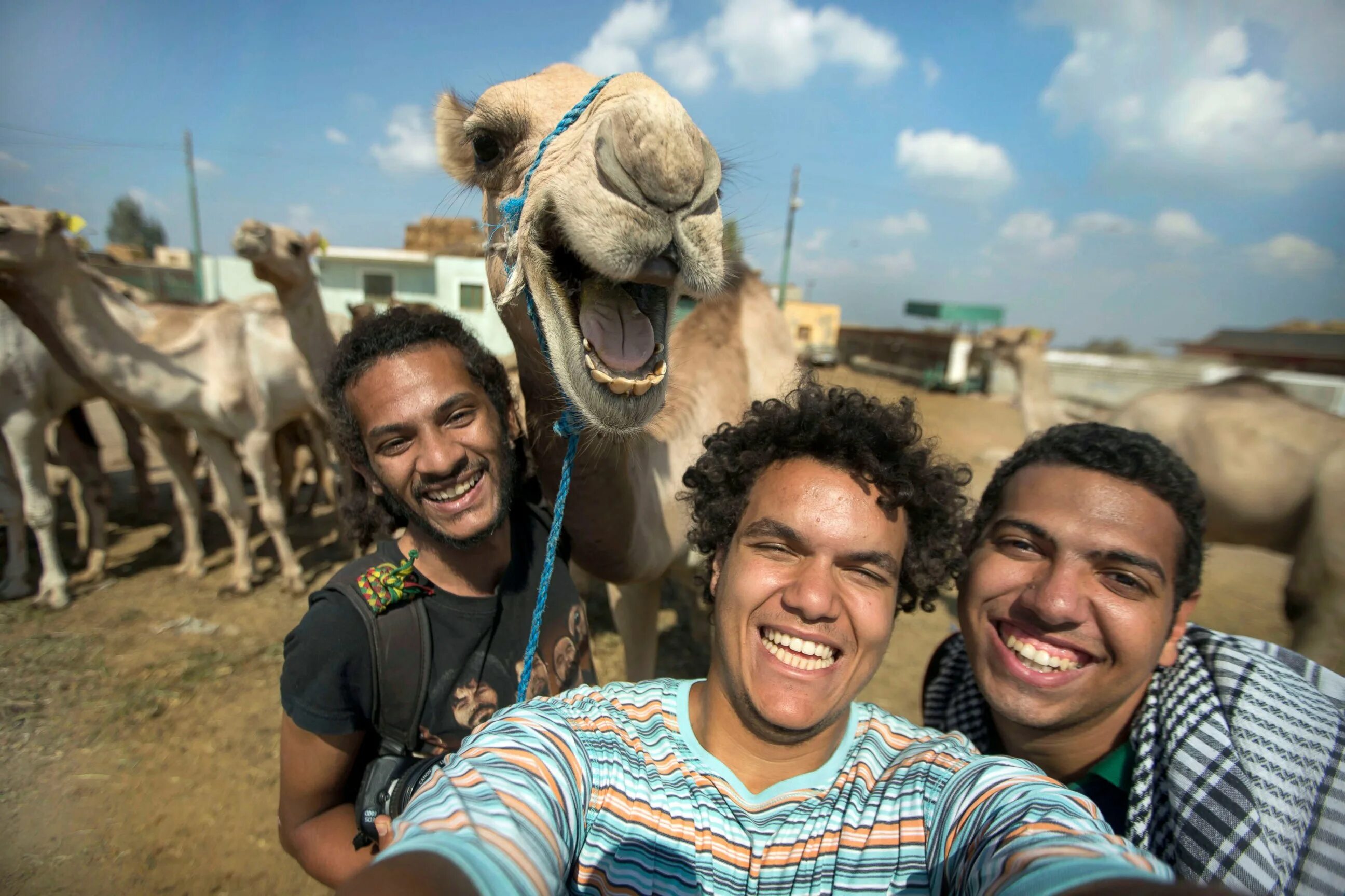 Смешные картинки. Забавные фото. Смешные картины. Смешной фотик. Смешно представить