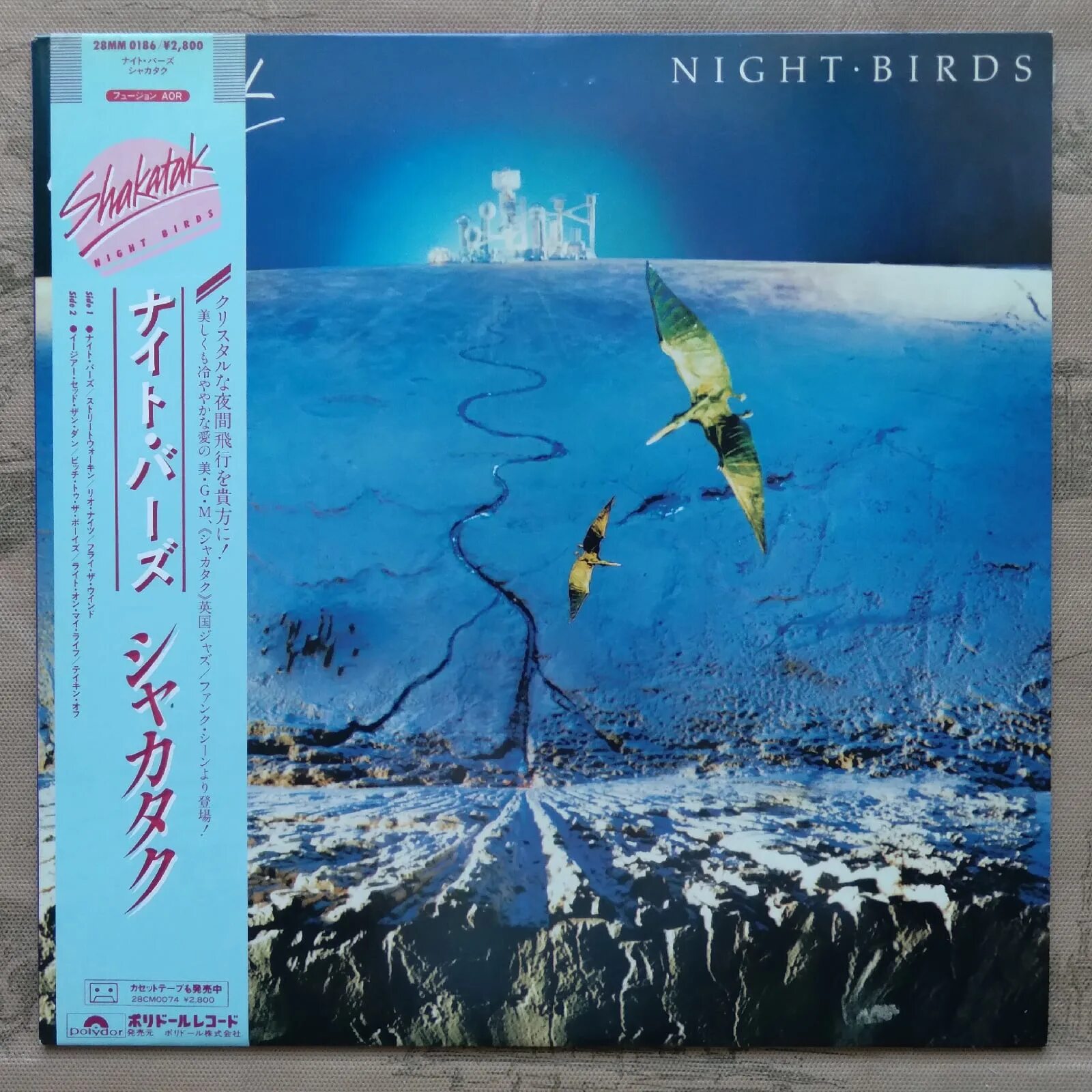 The night birds. The night birds. Брайан фриман. К. The night birds.