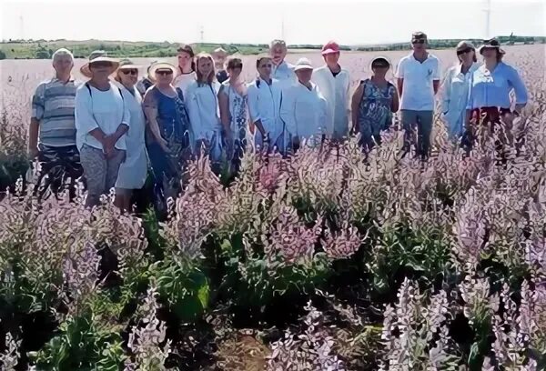 Научно исследовательский институт сельского хозяйства