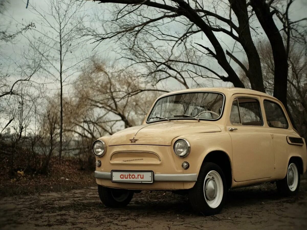 Заз 968м 1979. Заз 968м новый. Заз-968а запорожец. Запорожцы сейчас. Запорожец заз 968м охра золотистая.