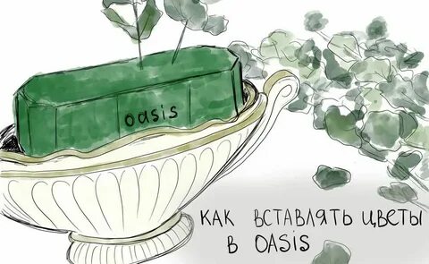 Что значит оазис