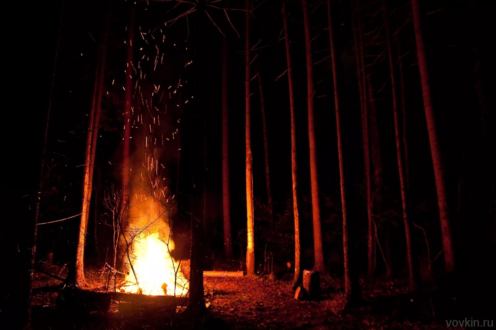 Кипит в лесу. Костер в лесу. Костёр в лесу ночью. Костер в темном лесу. Огонь в лесу ночью.