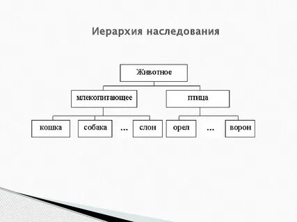 Иерархичность в биологии