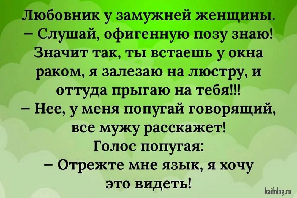 Удачные шутки. Анекдоты. Смешные анекдоты. Анекдоты в картинках. Анекдоты приколы.