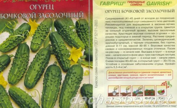 Огурцы Гавриш огурец_зеленый_светло-бежевый_светло-зеленый_белый - купить по выг