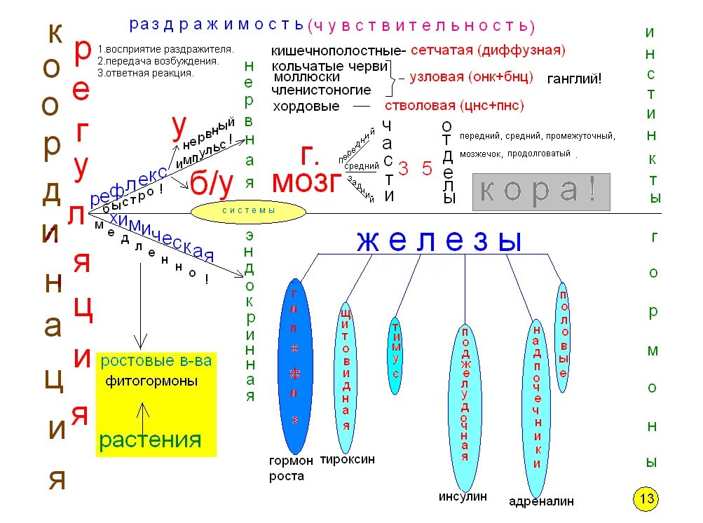 Опорные схемы по биологии. Интеллект карта по биологии 7 класс пресмыкающиеся. Опорные схемы по биологии. Опорная схема конспект по химии. Опорные конспекты по биологии 9 класс пономарева.