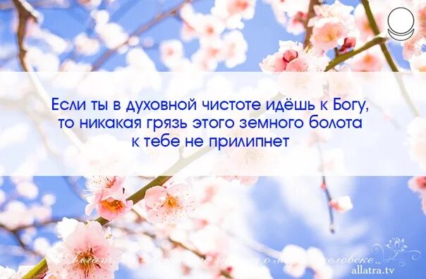 Какой предмет символизирует духовную чистоту