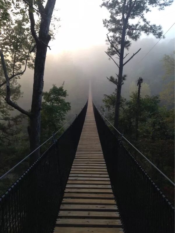 Подвесной мост в тумане. Канатный мост. Веревочный мост над обрывом. Обрыв моста. Мост в бездну