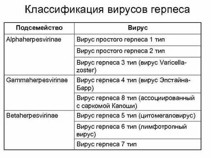 Типы герпеса человека