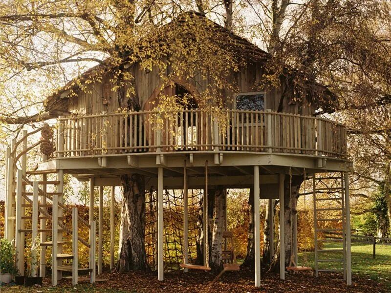 Жилой дом на дереве. Дом на дереве. Необычные деревянные дома. Детский домик на дереве. Деревянный дом на дереве.