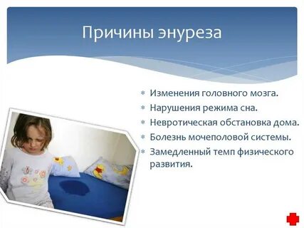Ребенок писается ночью к какому врачу