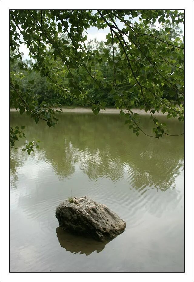 Что значит под лежачий камень. Лежачий камень. Вода течет под лежачий камень. Лежачий камень вода не течет. Фотография к под лежачий камень и вода не течет.