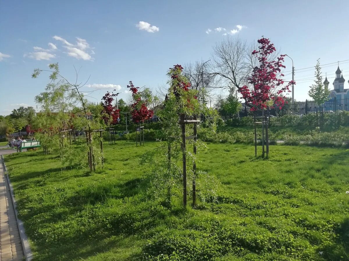 Погода станица калужская северский. Новый парк Калуга. Дендропарк на Калужском шоссе. Калуга парк вместо рынка. Ваграму парк Калуга.