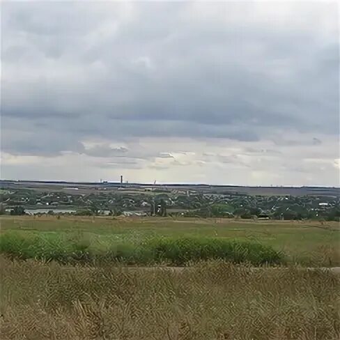 Яблоня экранное. Антоновка 40 *. Антоновка донецк. Яблоня антоновка десертная. Антоновка шестисотграммовая мичурин.