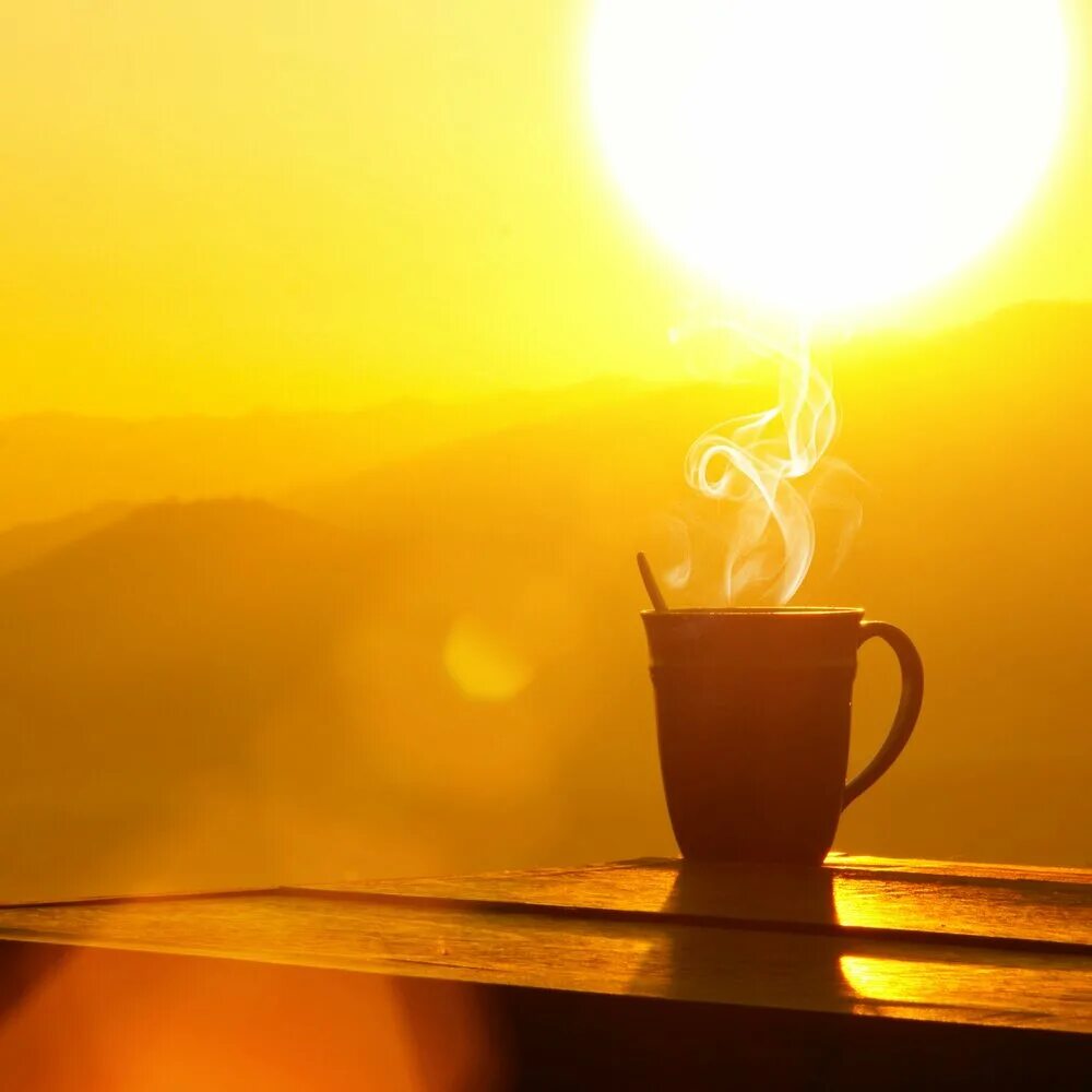 Утро кофе. Late morning. Good morning call. Мужчина проснулся. Bobby previte.