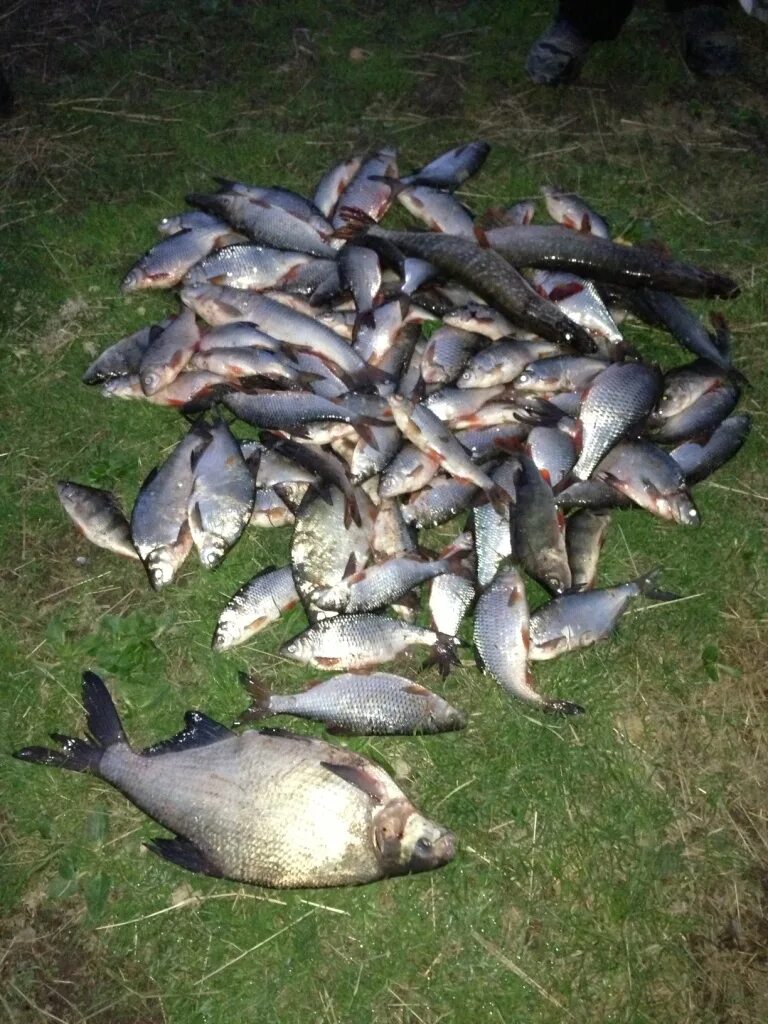 рыбалка балабаново