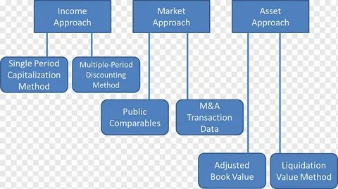 Business asset отзывы