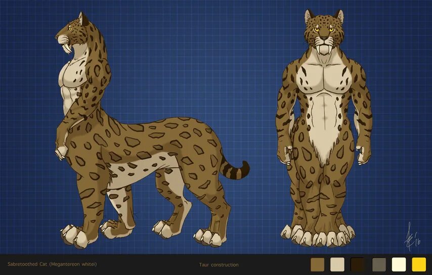 I ref