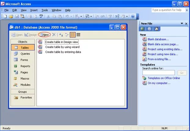 МС аксесс 2003. Страница в Microsoft access. Формат файла Microsoft access. MS access 2003. Access 2003