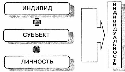 1 индивида с другой личностью