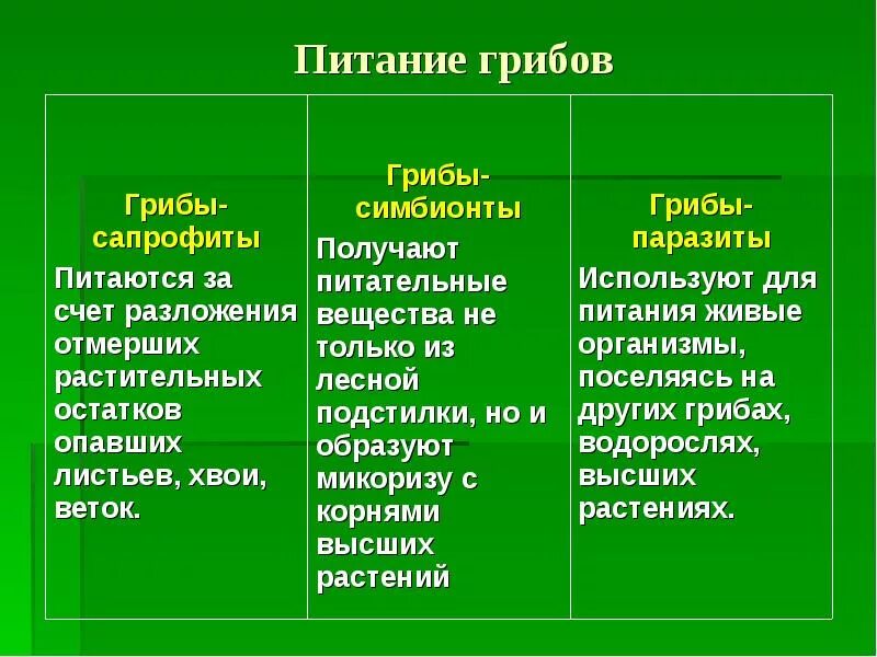 Каковы общие признаки грибов 5. Питание бактерий и грибов 6 класс биология презентация. Питание грибов презентация. Питание грибов и животных. Питание бактерий грибов и животных.