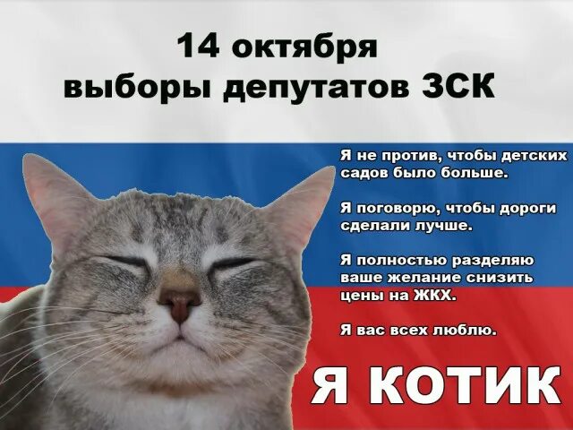 Котики хорошие лишнего текст