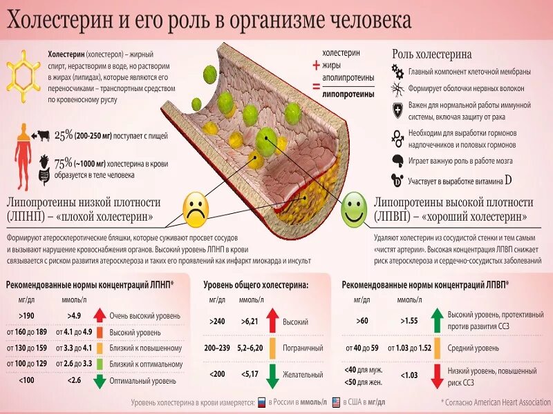 Инсульт холестерин. Уровень холестерина. Холестерин хороший и плохой нормы. Холестерин повышен. Снижение холестерина.