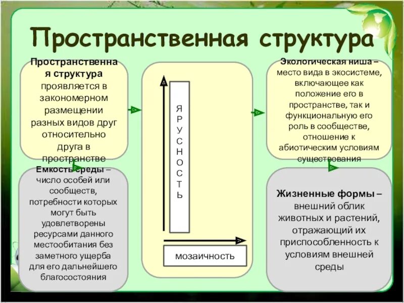 Экологическая ниша факторы среды. Пространственная экологическая ниша. Пространственная ниша примеры. Экологическая ниша структура.