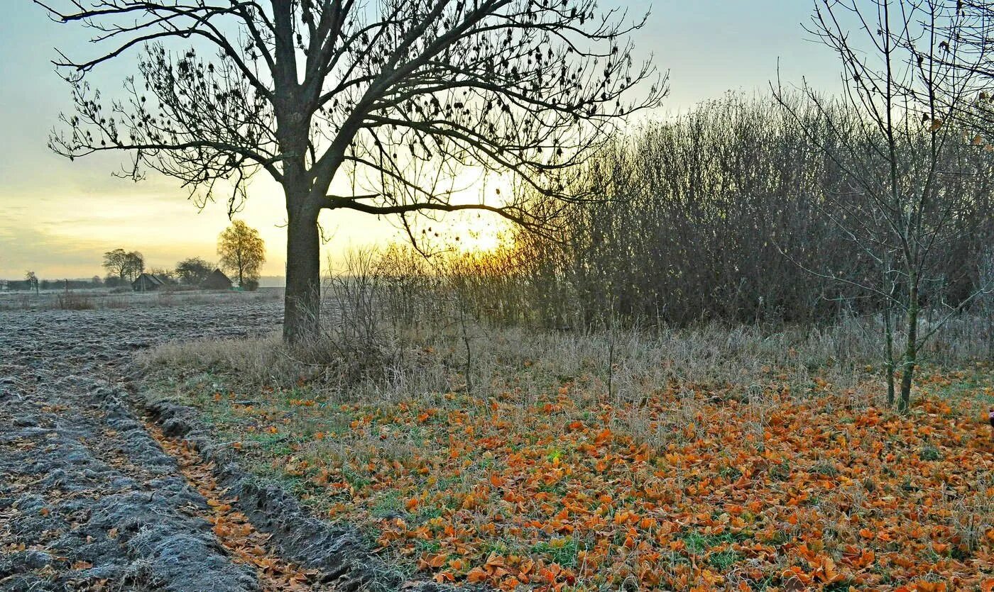 Поздняя осень. Осенние заморозки. Ноябрь природа. Осень ноябрь. Осень без тебя зима