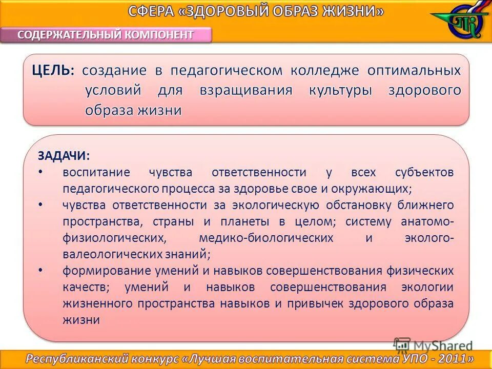 Рабочий коллектив. Содержательные стороны цели. Особенности организации жизненного пространства детей. Содержательная жизнь. Содержательная жизнь.
